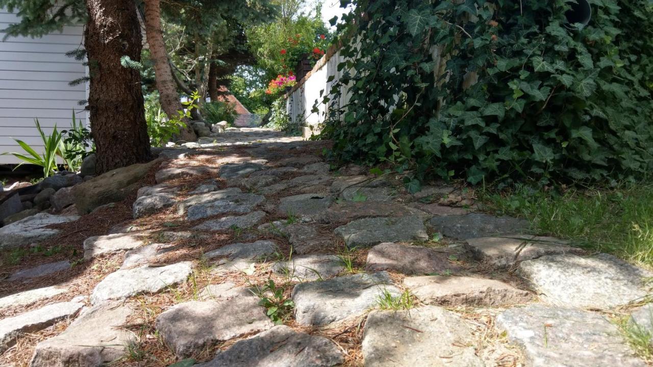 Kamien Baltyku Domki Debina  Екстериор снимка